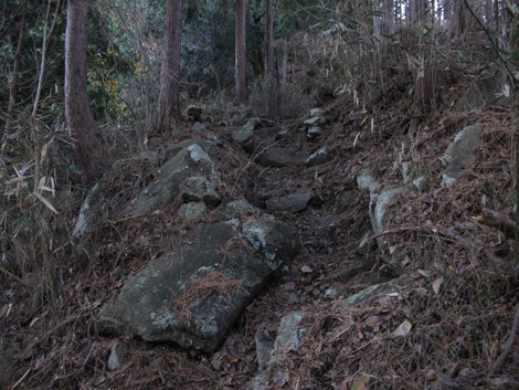 20181214hike (26)